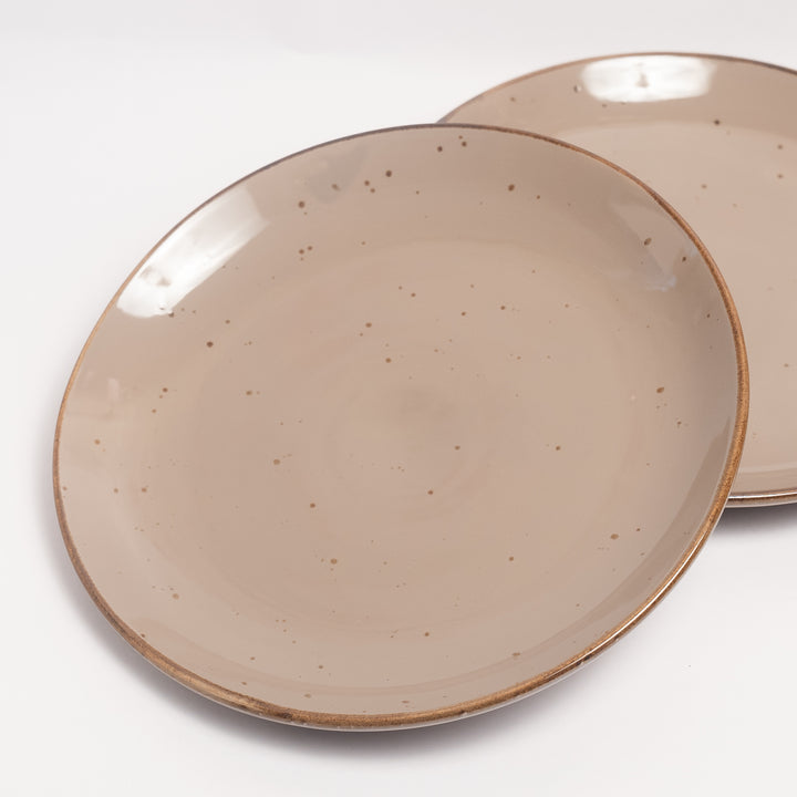 Dinner Plate(Grey with black speckles)