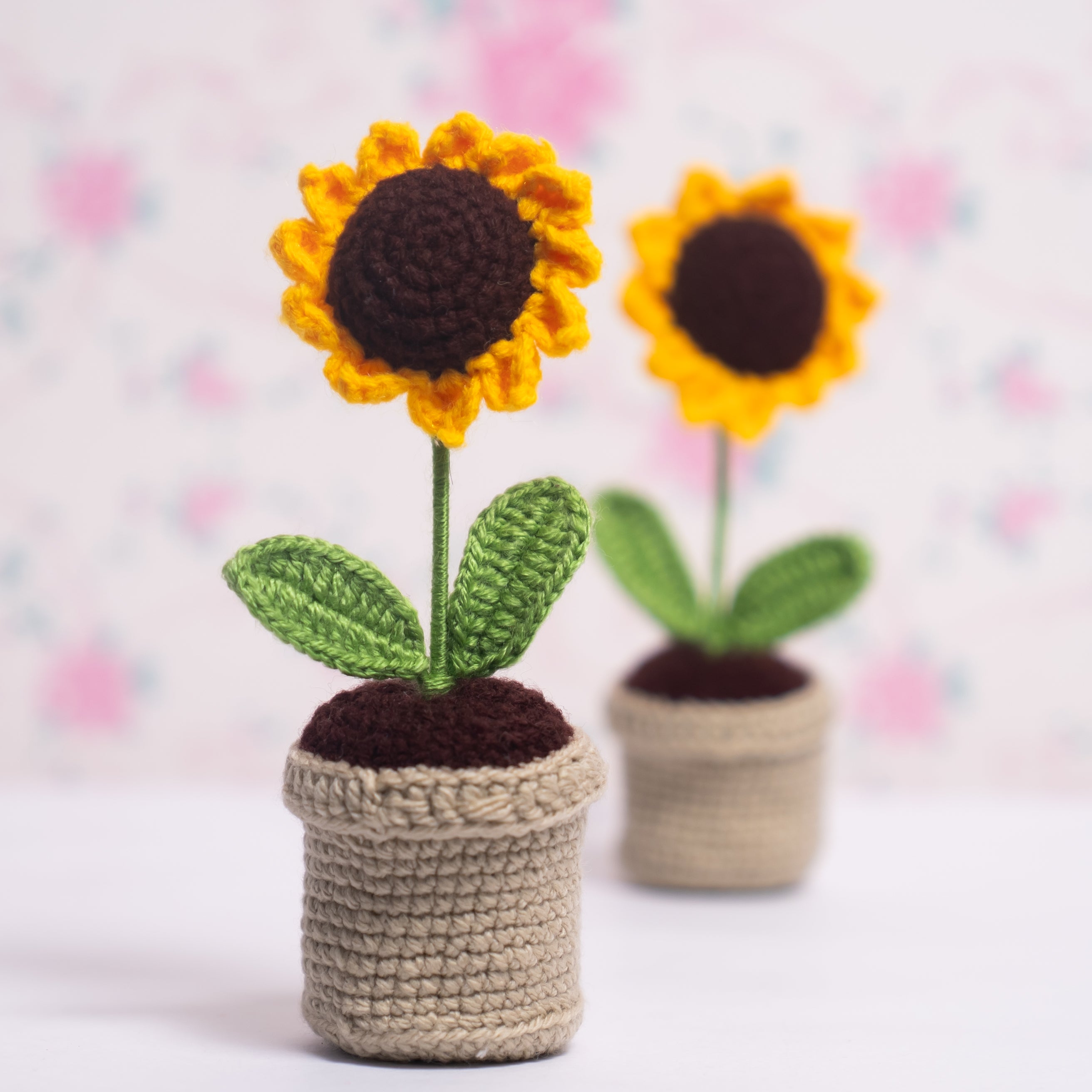 Sunflower Pot