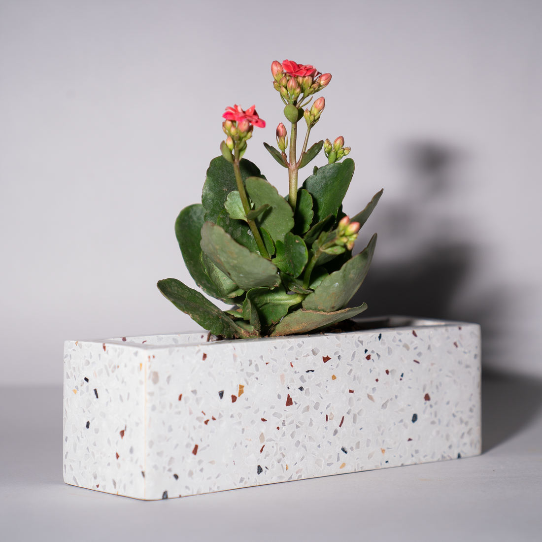 Terra Luxe Rectangular Planter