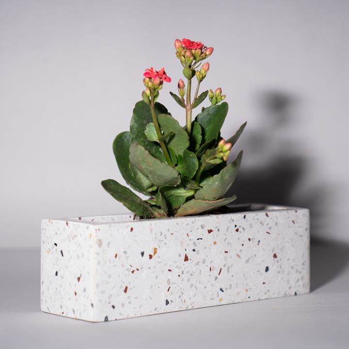 Terra Luxe Rectangular Planter