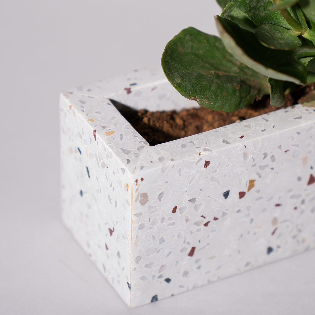 Terra Luxe Rectangular Planter