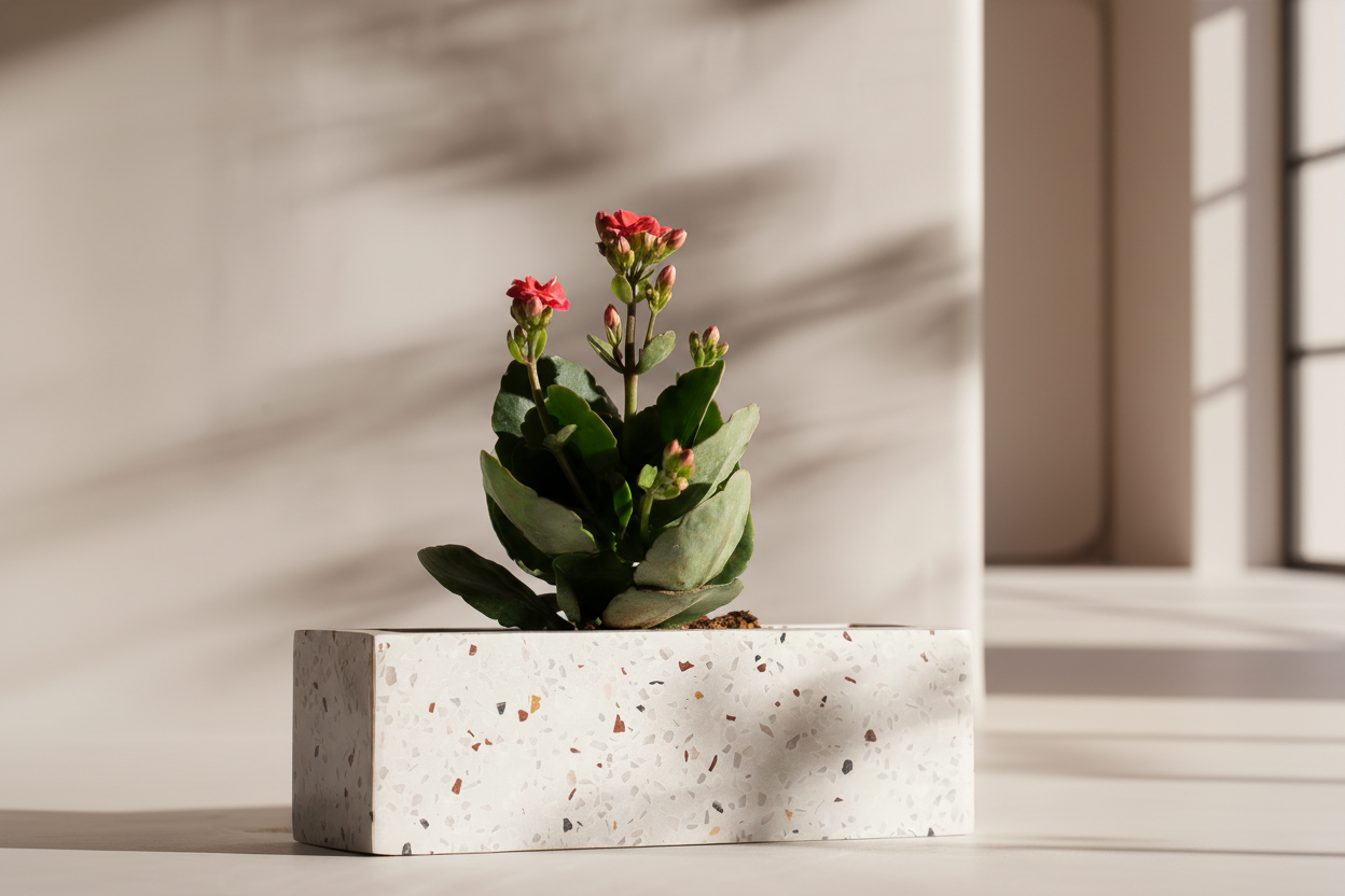 Terra Luxe Rectangular Planter